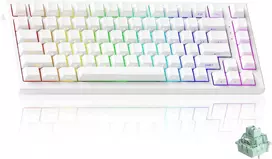 Akko TAC75 HE laidinė žaidimų klaviatūra su magnetiniais jungikliais, 75%, ARGB, balta