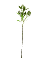 House Doctor - Artificial Branch, Hdligustrum, Gre - Džiovintos gėlės - Žalia