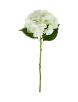 House Doctor - Artificial Flower, Hdhydrangea, Whi - Džiovintos gėlės - Balta