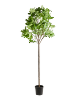 House Doctor - Artificial Plant, Hdfig, Green - Džiovintos gėlės - Žalia