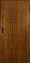Lauko durys RADEX P55 TYTAN, auksinio ąž. sp., 950 x 2039 mm, kairė