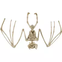Šikšnosparnio skeletas - dekoracija 30 cm Malatec 22005 universalus