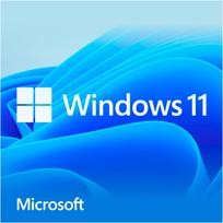 Microsoft operacinė sistema Windows 11 Home HAJ-00111, 64 bitų, 1 naudotojas, vokiečių kalba, USB atmintinė, pilna versija