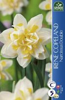 Narcizai Irene Copland