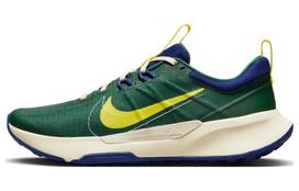 Nike Juniper Trail 2 Gorge Green Deep Royal Blue Coconut Milk Yellow Strike DM0822-301 44 blue