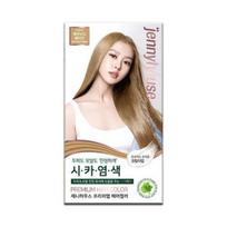 Jenny House Premium Hair Color Cream – Ash Nude Beige (12AND) Ash Nude Beige (12AND) white