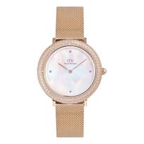 Daniel Wellington DW00100823 moteriškas laikrodis, 32 mm
