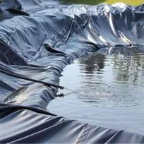 Tvenkinio danga Sodo baseinas Armuotas HDPE Sunkus Kraštovaizdžio baseinas Tvenkinys 1.5x2M gray