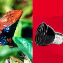 40W Mini Infrared Ceramic Emitter Heat Lamp Light Bulb Reptile Pet Brooder black