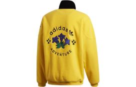 Adidas Originals ADV ARCHIVE HZ Megztiniai Vyriški Saulės Geltonumo Stovinti Apykaklė Vidutinio Storio Įprastas GD5583 XS yellow