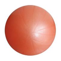 25CM Mini Pilates Ball Yoga Exercise Ball Physical Therapy Small Core Training Anti Burst Non-Slip 25cm oranžinė