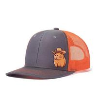 Capybara Printed Adjustable Baseball Cap Classic Snapback Dad Hat Breathable Trucker Mesh Hat Golf Fishing Outdoor Sun Cap gray