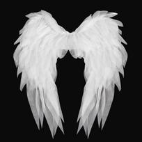 Realistiškas Angelų Sparnų Kostiumo Aksesuarų Rinkinys Cosplay Šaliai Helovinas Kamuolys Balti Juodi Organzos Plunksnų Sparnų Rekvizitai White Organza Angel Wings HC24BA171AV2 white