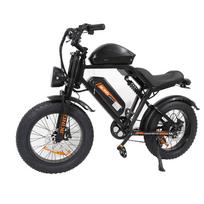 JKING Elektrinis dviratis FXH-002 Pro 1000W 20 colių storos padangos 7 pavarų Dviguba baterija 80 km nuotolis