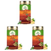 A TATA Product - Organic India Tulsi Ginger Tea - 100g, Rich in Antioxidants, Supports Digestion, Stress Relieving, Helps Boost Metabolism, Caff brown