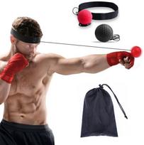 2x fight reflex ball + bag