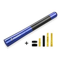 Car Aerials Car Radio Antenna FM/AM Metal Receiving Antenna Car Accessories For Peugeot 308 408 508 RCZ 208 3008 2008 206 207 108 406 407 408 206 207 mėlyna