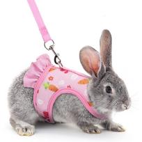 Adjustable Rabbit Chest Strap Set Breathable Mesh Blue Pink Orange Guinea Pig Leash Set Vest Skirt Escape Proof S rožinė