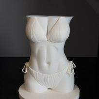 Bikini Body Pen Holder 3D Printed Funny Texture Female Torso Pencil Pot Cool Office Desk Brush Storage Decor Gift For Men one size black