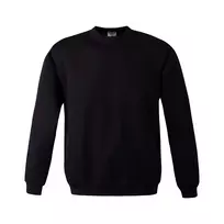 Bliuzonas Procera BLUZA