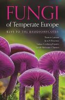 Fungi of Temperate Europe. Keys to the Basidiomycotes