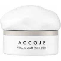 ACCOJE Vital in Jeju Multi Balm daugiafunkcis veido balzamas, 27 g