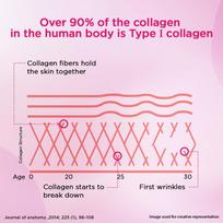 Siens By Dabur Hydrolyzed Marine Collagen-100g | Made with Japanese technology | Supplement for Women | For Skin Radiance & Hydration | Blueberry