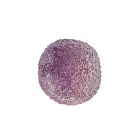 Reusable Sensory Crackling Slushie Squeeze Ball 1Pc Crunchy Stress Reliever Toy For Adults Office Classroom violetinė