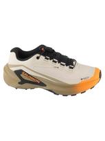 SALOMON Moteriški bėgimo batai, GENESIS 2 GTX W L45388200