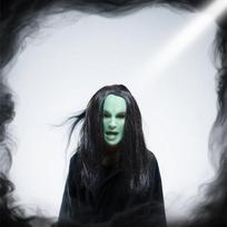 Senos raganos kaukė Helovino raganos kaukė cos Ragana, siaubo moters dvasia, karnavalo vakarėlio kostiumas Green-faced female ghost