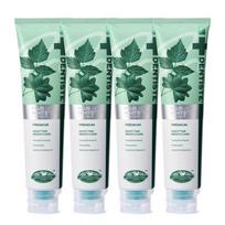 Dentiste Plus White Pro Toothpaste Xylitol Vitamin Toothpaste 160g 4 pcs gray