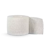 ELASTINIS TEIPAS SELECT STRETCH TAPE 7,5 CM. X 6,9 M. 16 VNT PAKUOTĖ