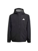 ADIDAS TERREX Laisvalaikio striukė juoda