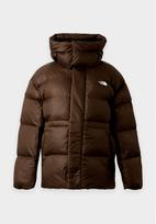 THE NORTH FACE Žieminė striukė kaštoninė spalva