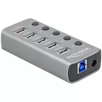 Delock USB 3.2 Gen 1 USB šakotuvas su 4 prievadais + 1 greito įkrovimo prievadas su jungikliu