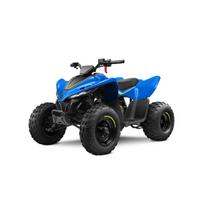 CFMOTO CFORCE 110 BASIC vaikiškas keturratis