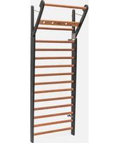 Gimnastikos sienelė WallBars Club - 14