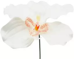 Dirbtinė gėlė orchidėjos žiedas, 12 vnt. - Balta