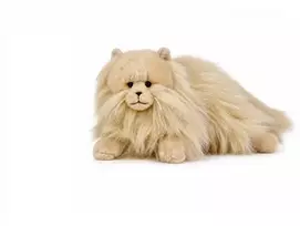 Beppe Persų katinas karamelinis 35 cm 14290 25081