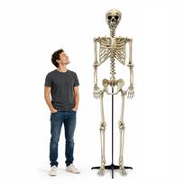 Milžiniška XXL dekoracija "Skeletas" (240cm)