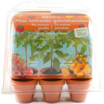 Augalų auginimo rinkinys Radis Et Capucine My First Greenhouse Organic Tomatoes, raudona sp./geltona sp.