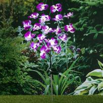 Lauko šviestuvas Haushalt orchidėja, LED, saulės energija įkraunamas, 75 cm