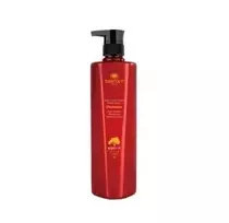 Angel Professional Pažeistų plaukų šampūnas su argano aliejumi Dancoly Argan Oxygen Šampūnas 800ml