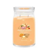 Yankee Candle Signature Mango Ice Cream 567 ml