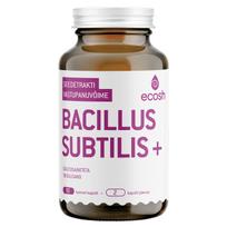 ECOSH Bacillius Subtils+ Probiotic 90pcs