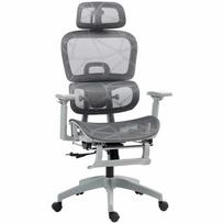 Ergonomiška biuro kėdė su pakoja, pilka, reguliuojama, tinklinis audinys
