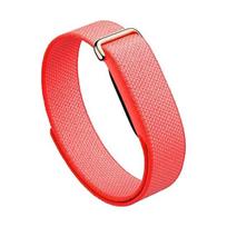 Išmanusis laikrodis Google Fitbit Air Berry