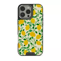 Capri - iPhone 16 Pro Max Case, Elite Dark (MagSafe) / Silver