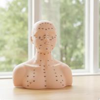 PVC manekeno galva su pečiais, minkštas akupunktūros taškų treniruočių modelis, odos spalvos Upgraded Full Body
