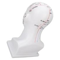 Akupunktūros taškų galvos modelis PVC balto veido masažas meridianai galvos modelis mokymo priemonės 11,8 colio white